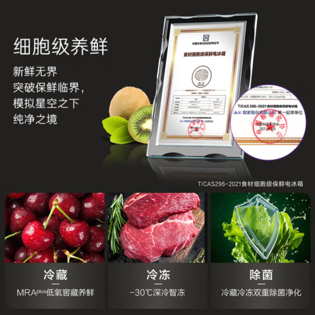 Casarte Languang 520 zero built-in refrigerator