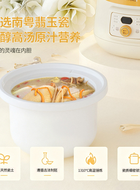 天际粤式电炖锅冬暖夏温多功能