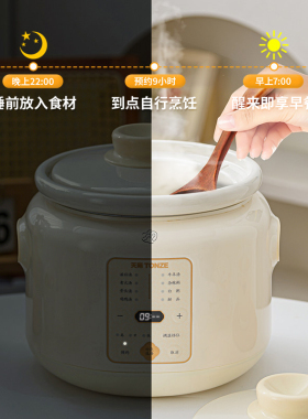 太省心了电炖锅煲汤煲粥大容量