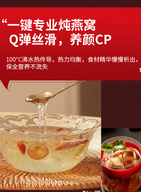 智能隔水燕窝预约全自动玻璃炖锅