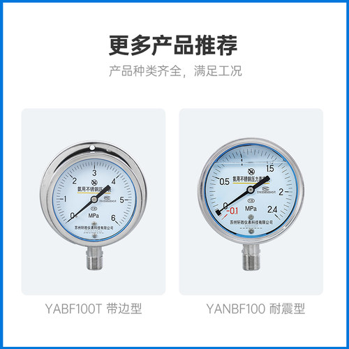 YA100 -0.1-2.4MPa氨气压力表 正负压 氨气压力真空表 氨用压力表 - 图2