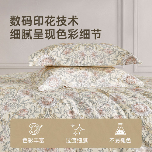 梦洁家纺60支长绒棉床单四件套纯棉全棉床单被套2026年新款床品 - 图3