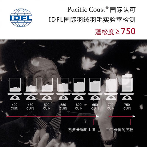 PacificCoast派赛菲特五星级酒店护颈羽绒枕头单人颈椎白鹅绒枕芯 - 图1