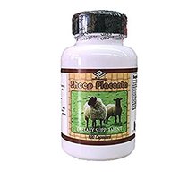 The Sheep Placenta 100 Capsules