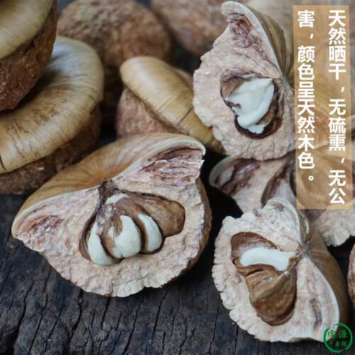 风流果野生广西正品500g特级精品龟头子厚鳞柯男性滋补泡酒料2025 - 图0