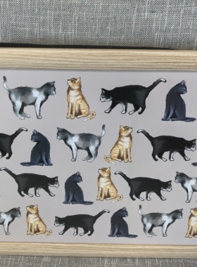 My cat and dog lap tray 膝托垫