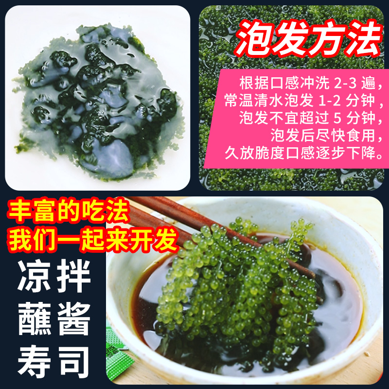 渔知乐即食盐渍海葡萄新鲜凉拌菜海藻菜袋鱼子酱寿司送芥末 - 图1