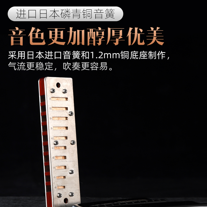 JDR嘉德瑞布鲁斯口琴十孔蓝调GM-1920专业演奏级旗舰店paddy音阶