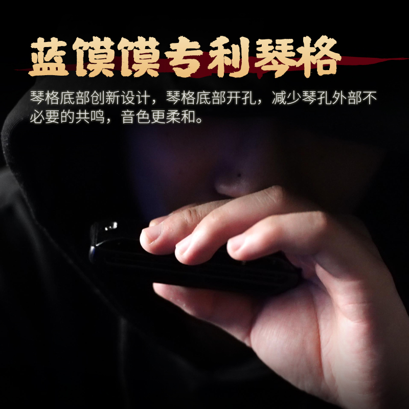 JDR嘉德瑞Assassin刺客布鲁斯蓝调十孔口琴10孔C调专业演奏paddy-图1