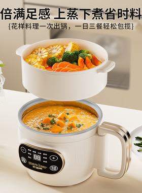 110v伏电饭煲电饭锅电煮锅出口日本美国加拿大火锅煮面小锅美日规