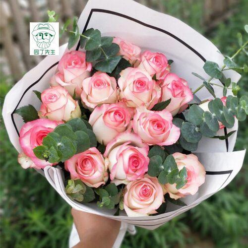 朱米莉亚艾莎玫瑰花苗盆栽大苗浓香月季阳台庭院花园勤开花卉植物 - 图3