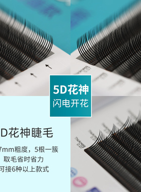 5D花神漫画款嫁接睫毛BCD翘单根仙子仙女山茶花太阳花美睫店专用