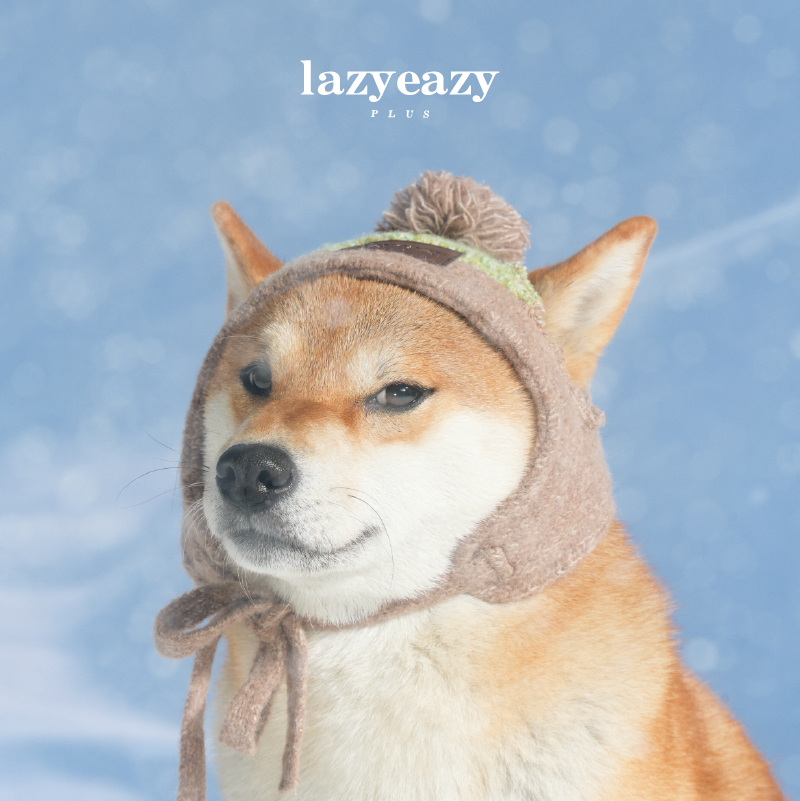 Lazyeazy宠物狗狗针织帽子冬季保暖喜庆可爱头套围脖中小型犬 - 图0