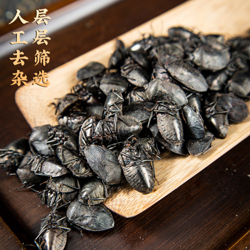 云南九香虫中药材野生九香虫500g克包邮正品打屁虫屁巴虫臭壳子虫 - 图0