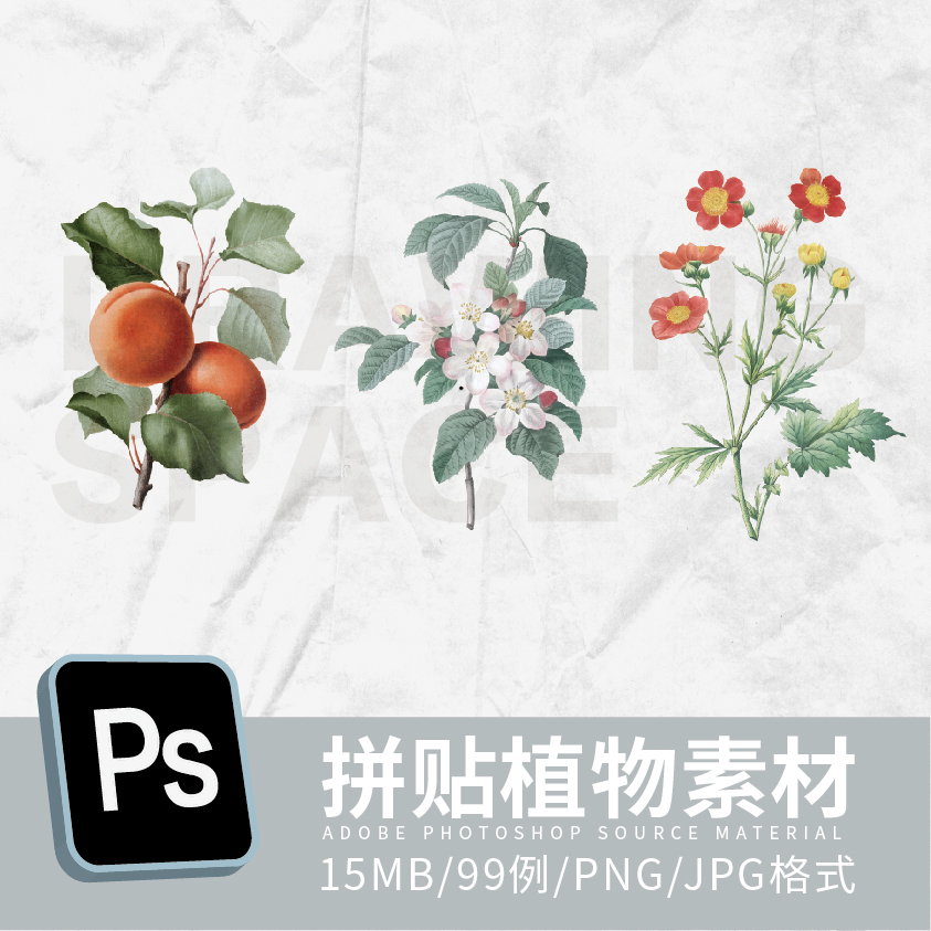 PS拼贴植物素材99例PNG/JPG格式-图1