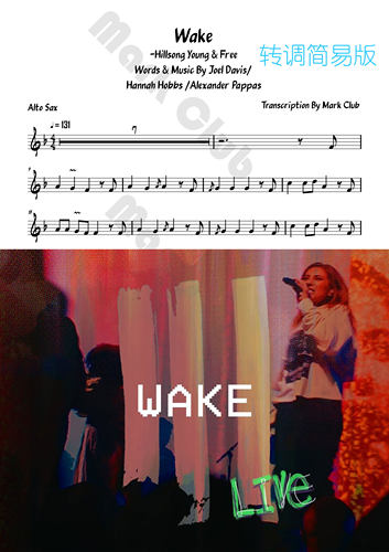 Wake 扒谱服务 萨克斯谱 单簧管谱 长笛谱 小号谱 小提琴谱 伴奏 - 图3