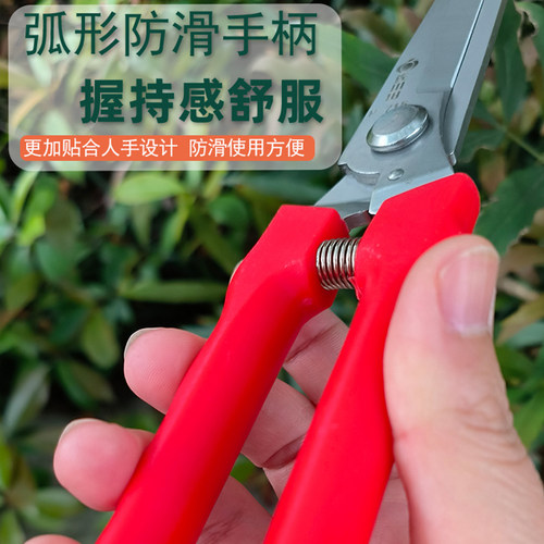 佐川田715大蒜专用剪蒜头蒜杆蒜胡剪子 修枝剪洋葱火龙果采摘剪刀 - 图2