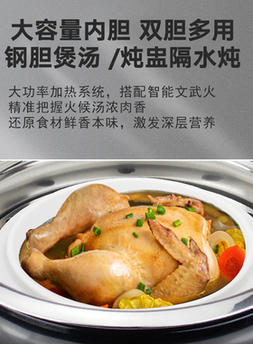 牌德信牌电炖锅煲汤锅煮粥