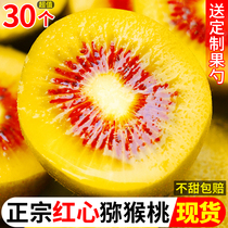 Sichuan Red Hearts Kiwi Fruits 30 Kiwifruit Pregnant Women Fruits Fresh Great Fruits When Season Should Be Full Box of Phujiang