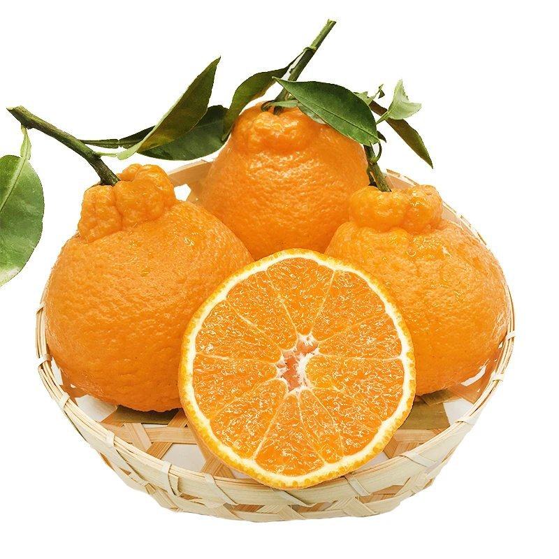 精选四川丑橘桔子新鲜孕妇水果当季橙子丑甜柑橘爆汁精选优质大果,淘宝优惠券,粉丝福利购,淘宝优惠卷