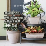 Qingye [Кампания] Дерма Император римский итальянский импортный легкий роскошный