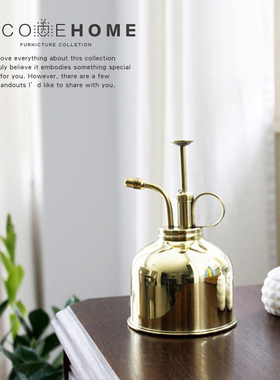 摩登复古黄铜小型洒水壶招财摆件
