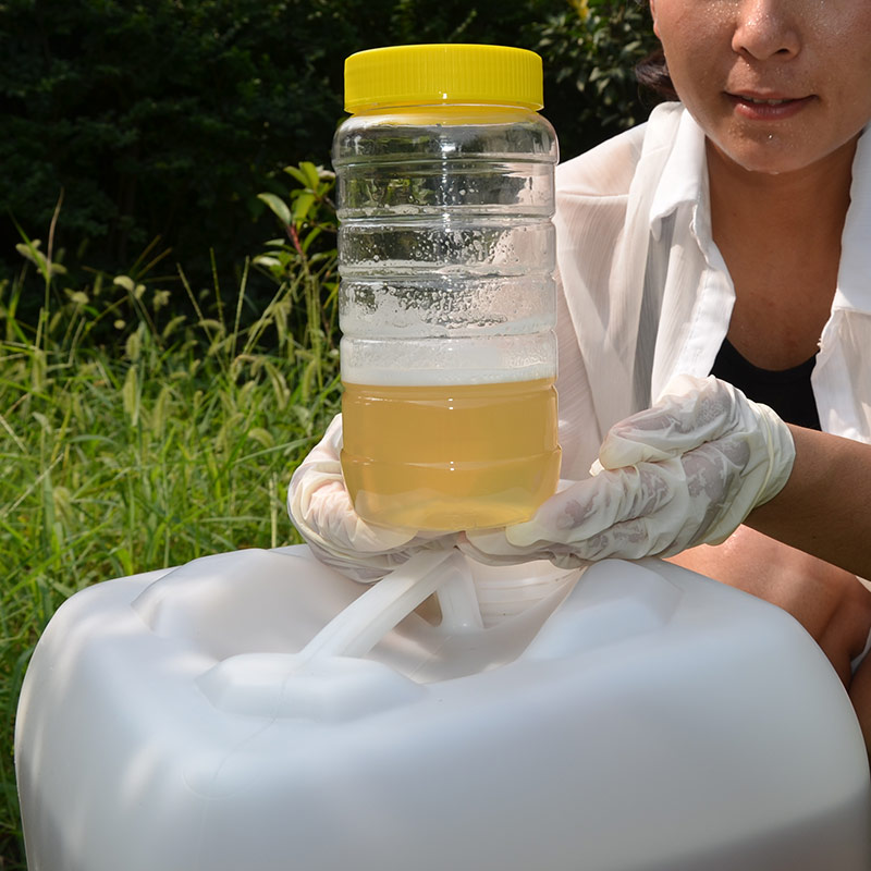 农家野生土蜂蜜天然纯正零添加百花蜜槐花蜜大桶蜂蜜果汁奶茶专用