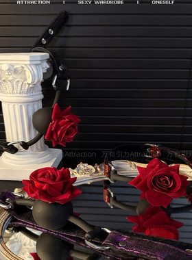 夜间玩伴 玫瑰硅胶口球堵嘴球强制张嘴不伤牙口塞球止咬k9道具