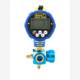 Dasheng Digital Electronic Pressure Gauge WK-68