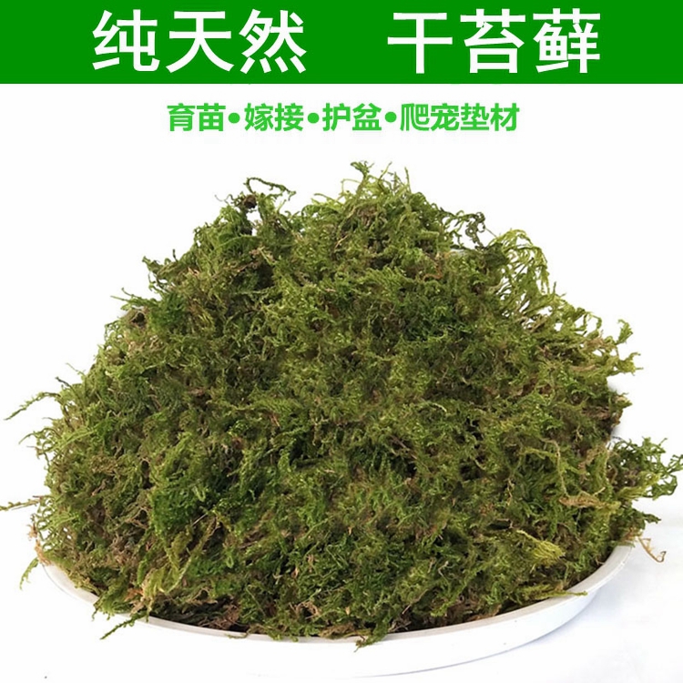 干苔藓水苔青苔乌龟过冬眠保湿椰土砖爬宠用品蝴蝶兰花石斛营养土-图0