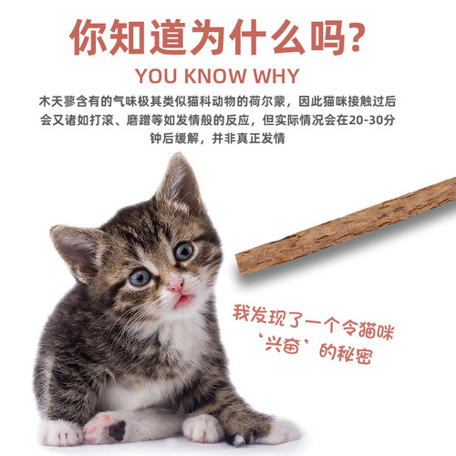 猫咪磨牙棒木天蓼猫薄荷棒棒糖食用幼猫啃咬洁齿小猫咬棒用品零食 - 图1