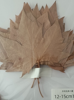 梧桐叶压花树叶手工diy材料包枫叶压花包树叶压片画儿童画梧桐叶