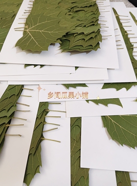 标本激光雕刻叶雕材料真树叶烘干树叶手工叶雕材料梧桐叶