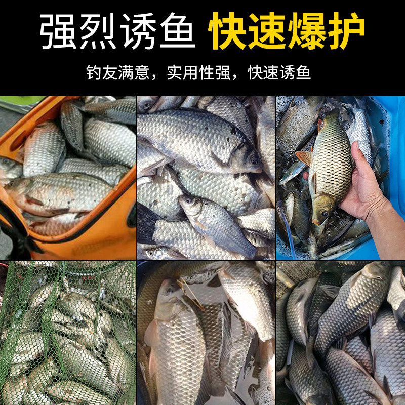 钓鱼专用纯正浓腥红虫粉蚯蚓南极虾粉鱼饵打窝料鲫鱼鲤鱼草鱼饵料,淘宝优惠券,粉丝福利购,淘宝优惠卷