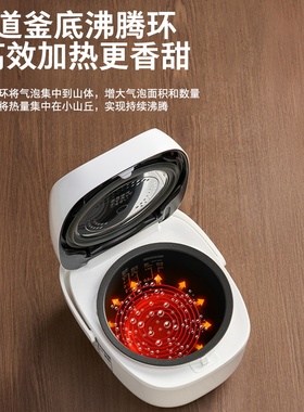 东芝原装进口云朵IH多功能电饭煲