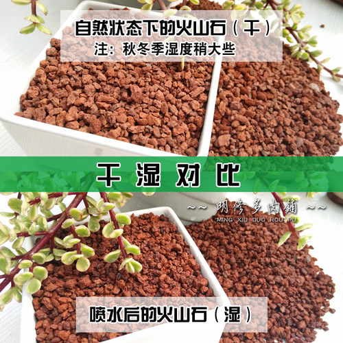 包邮10斤火山石火山岩多肉兰花专用伴土颗粒土营养土铺面垫底水族 - 图0