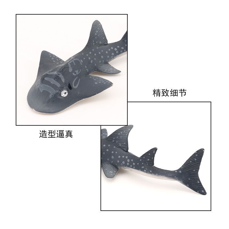 海洋生物 犁头鳐 提琴鳐 仿真海洋动物模型 塑胶玩具儿童认知 - 图1