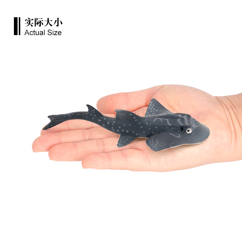 海洋生物 犁头鳐 提琴鳐 仿真海洋动物模型 塑胶玩具儿童认知 - 图2