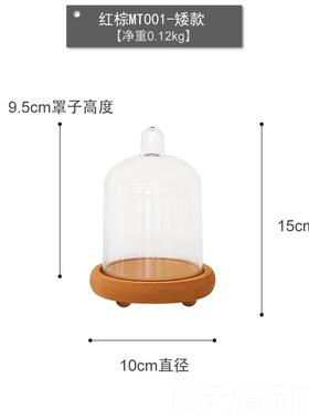 正品微景观永生花木森头底座摆件 透防尘明罩装饰 林系甜品台蛋糕