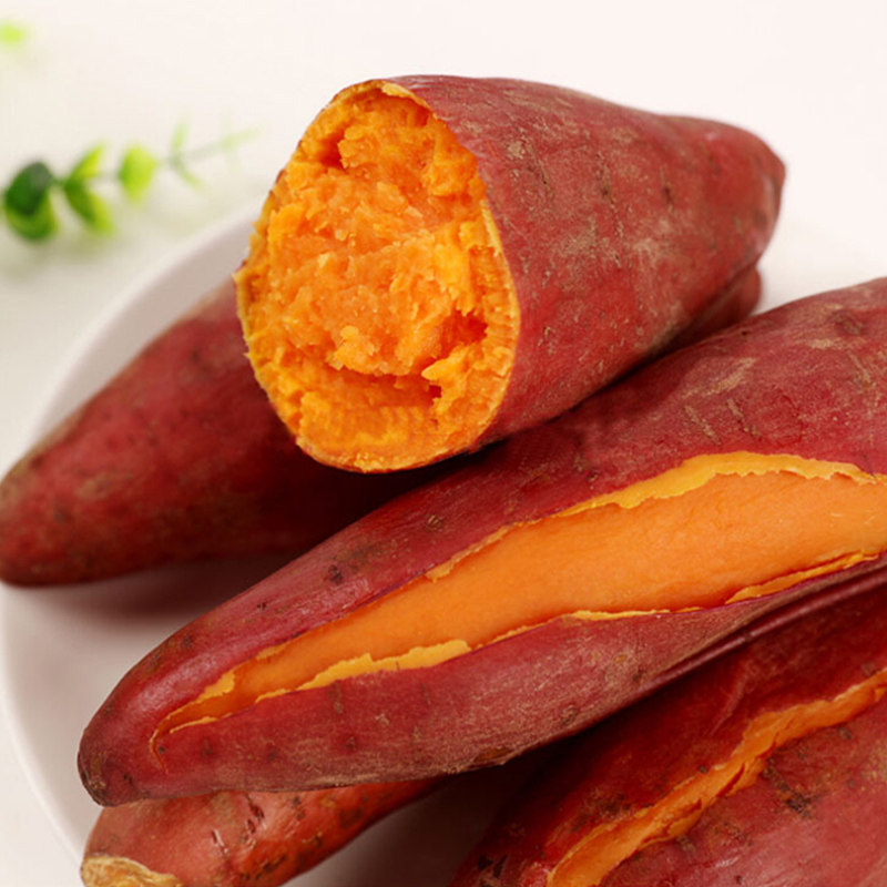 现挖新鲜蜜薯5斤甜农家自种地瓜 名滋园食品番薯