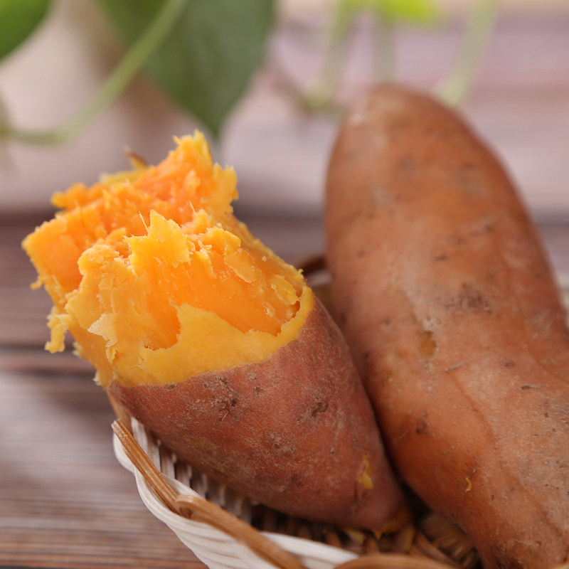 现挖新鲜蜜薯5斤甜地瓜 名滋园食品番薯