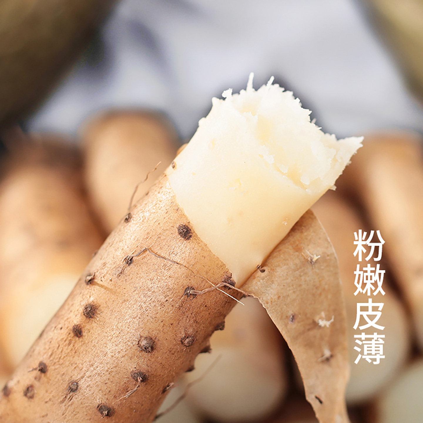 小白嘴山药新鲜5斤蔬菜官方旗舰店铁杆淮山铁棍山药10非温县垆土-图0