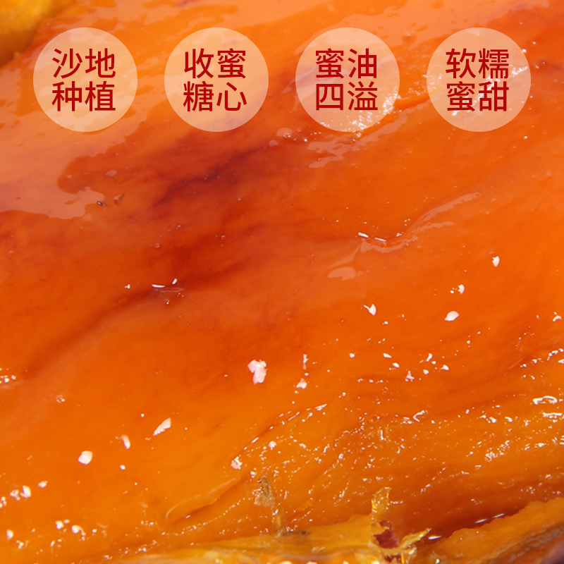 山东烟薯25号烤红薯新鲜糖心沙番薯 薯小萌番薯