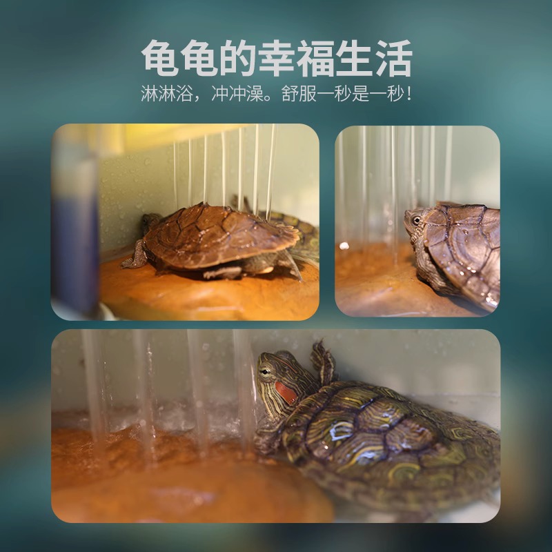 森森养乌龟专用缸家用龟缸乌龟饲养缸小乌龟专用缸爬台晒台乌龟缸-图2