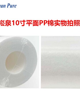 崧泉10寸平面PP棉滤芯净水器通用