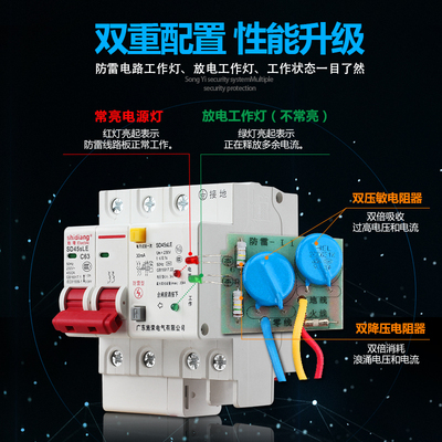 高档施电接地防雷断路器漏电保护器触电保护开关家装2P220V63a浪 - 图0