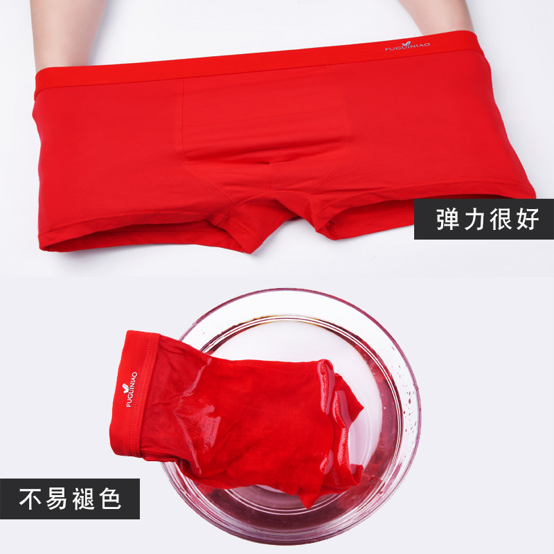 富贵鸟本命年红内裤喜庆吉祥物短裤 富贵鸟淘猫猫内裤