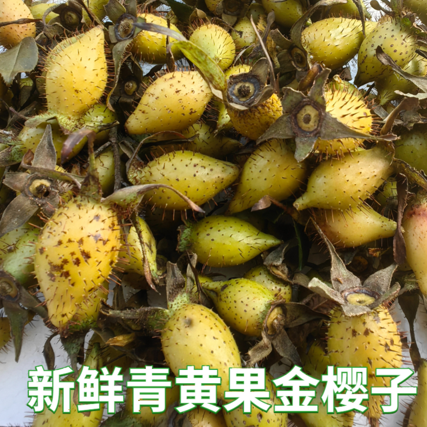 现摘野生新鲜金樱子全红果泡酒中药材刺梨金英子糖罐子山石榴鲜果,淘宝优惠券,粉丝福利购,淘宝优惠卷