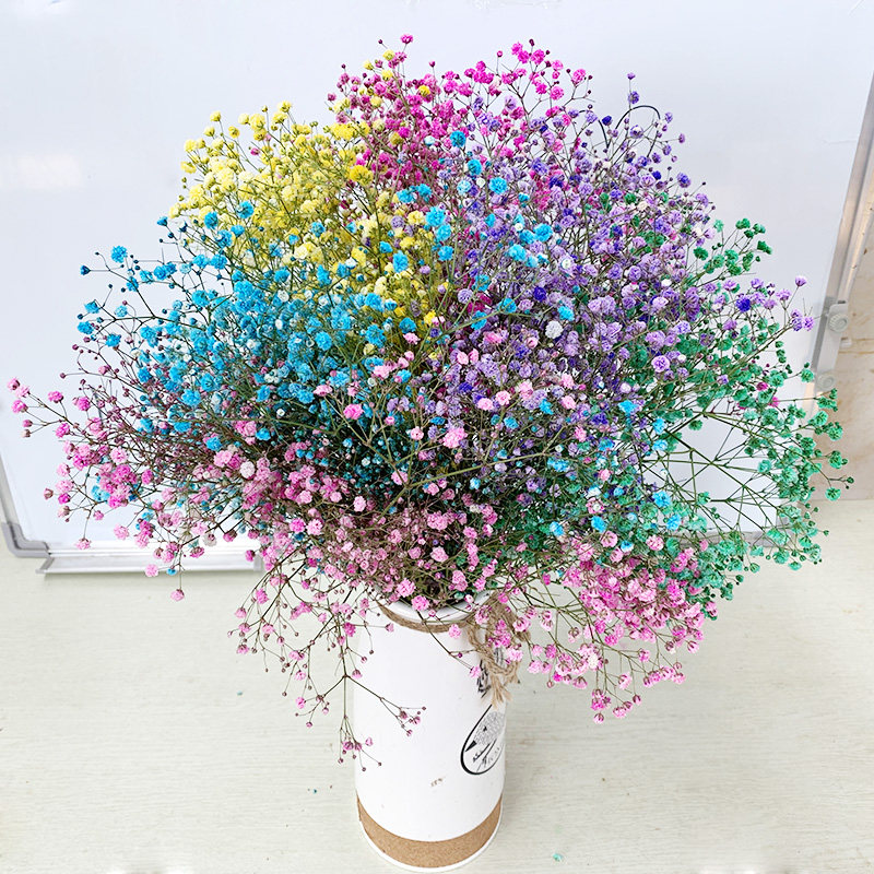 云南鲜花满天星超大束鲜切花包花束配花家庭水养办公室卧室插花,淘宝优惠券,粉丝福利购,淘宝优惠卷