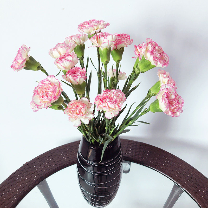 康乃馨云南批发送妈妈送老师长辈家养鲜切花速递家庭花瓶插花,淘宝优惠券,粉丝福利购,淘宝优惠卷